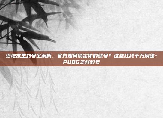 绝地求生封号全解析，官方如何锁定你的账号？这些红线千万别碰-PUBG怎样封号