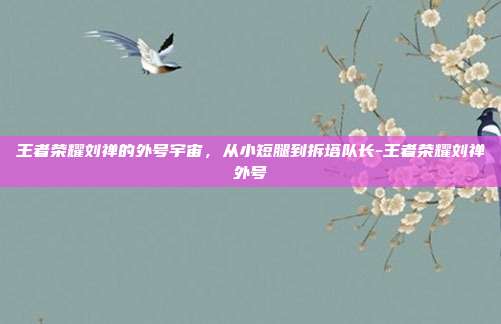 王者荣耀刘禅的外号宇宙，从小短腿到拆塔队长-王者荣耀刘禅外号