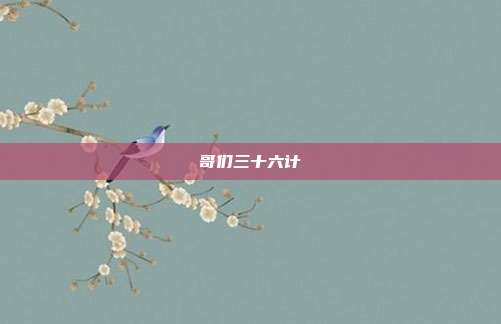 哥们三十六计