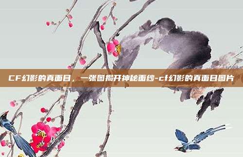 CF幻影的真面目，一张图揭开神秘面纱-cf幻影的真面目图片