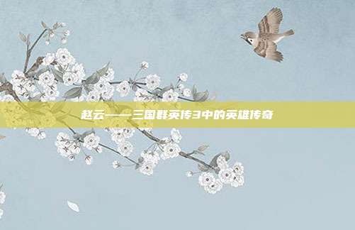 赵云——三国群英传3中的英雄传奇
