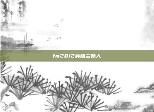 fm2012英格兰妖人