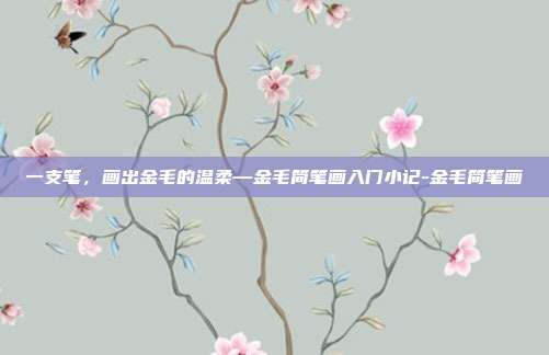一支笔，画出金毛的温柔—金毛简笔画入门小记-金毛简笔画