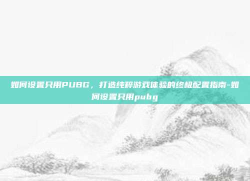 如何设置只用PUBG，打造纯粹游戏体验的终极配置指南-如何设置只用pubg