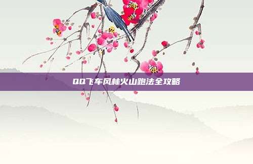 QQ飞车风林火山跑法全攻略