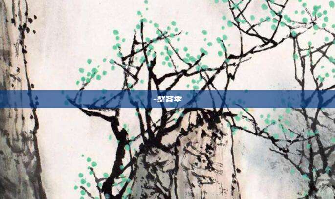 -整容季