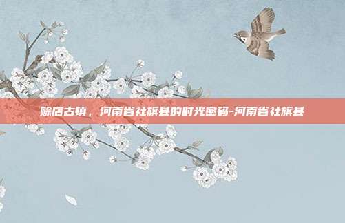 赊店古镇，河南省社旗县的时光密码-河南省社旗县