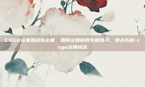 CSGO玩家和战队必看，如何注册你的专属域名，抢占先机-csgo注册域名
