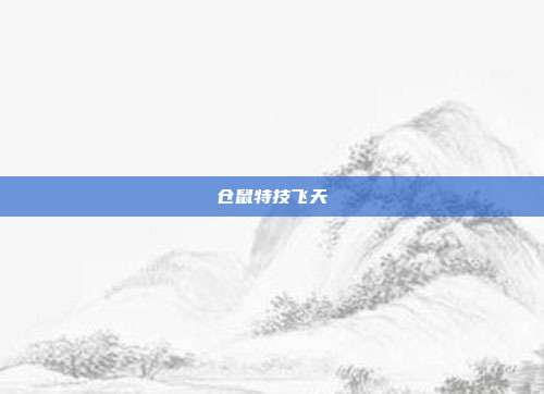 仓鼠特技飞天