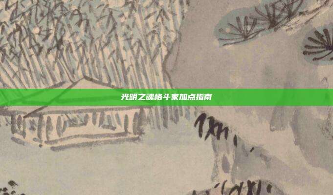 光明之魂格斗家加点指南