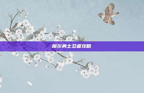 摩尔勇士忍者攻略