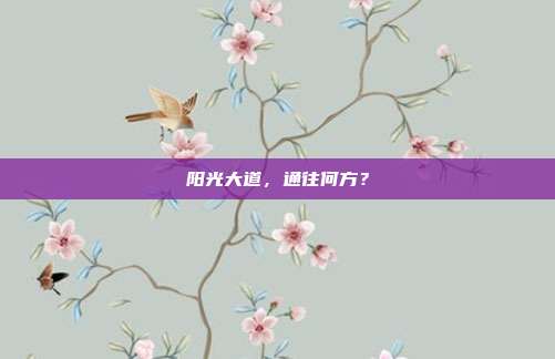 阳光大道，通往何方？