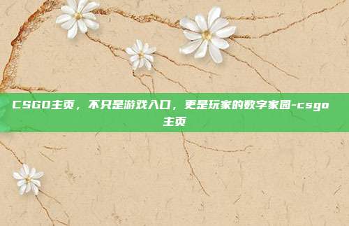 CSGO主页，不只是游戏入口，更是玩家的数字家园-csgo 主页