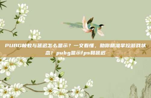 PUBG帧数与延迟怎么显示?一文看懂,助你精准掌控游戏状态!pubg显示fps和延迟