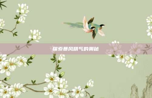探索暴风精气的奥秘