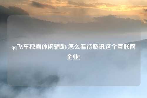 qq飞车独霸休闲辅助(怎么看待腾讯这个互联网企业)