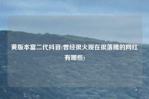 黄版本富二代抖音(曾经很火现在很落魄的网红有哪些)