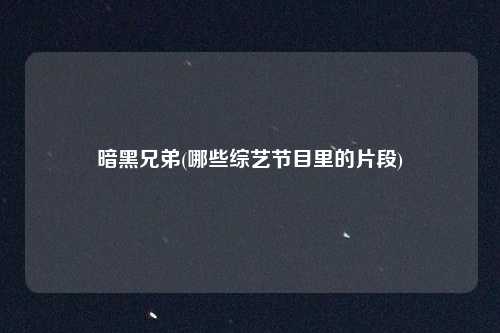 暗黑兄弟(哪些综艺节目里的片段)