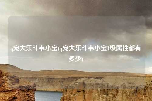 q宠大乐斗韦小宝(q宠大乐斗韦小宝1级属性都有多少)