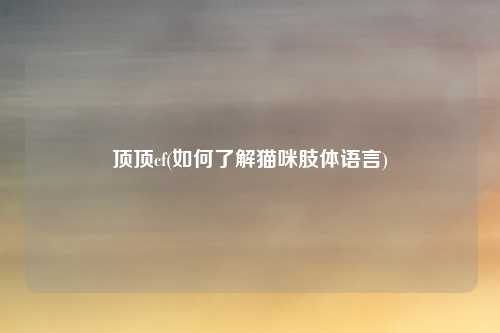 顶顶cf(如何了解猫咪肢体语言)