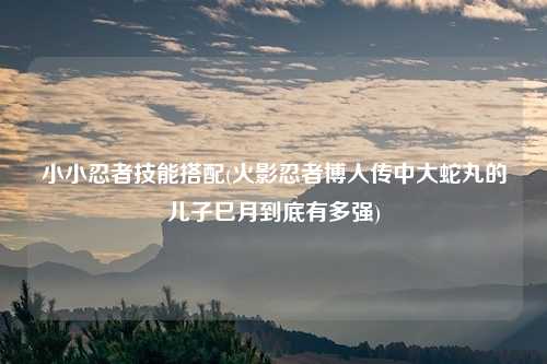 小小忍者技能搭配(火影忍者博人传中大蛇丸的儿子巳月到底有多强)