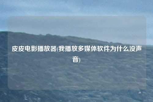 皮皮电影播放器(我播放多媒体软件为什么没声音)