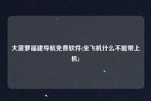 大菠萝福建导航免费软件(坐飞机什么不能带上机)