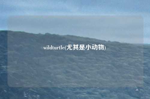 wildturtle(尤其是小动物)