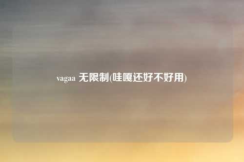 vagaa 无限制(哇嘎还好不好用)