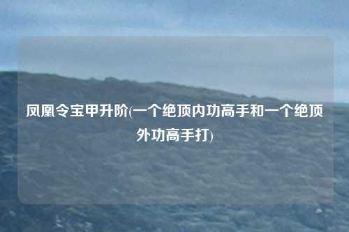 凤凰令宝甲升阶(一个绝顶内功高手和一个绝顶外功高手打)