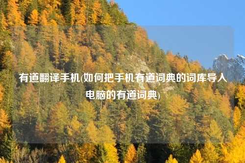 有道翻译手机(如何把手机有道词典的词库导入电脑的有道词典)
