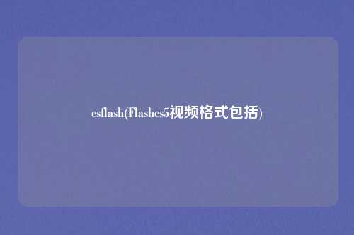 csflash(Flashcs5视频格式包括)