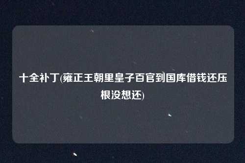 十全补丁(雍正王朝里皇子百官到国库借钱还压根没想还)
