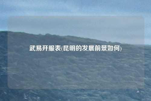 武易开服表(昆明的发展前景如何)