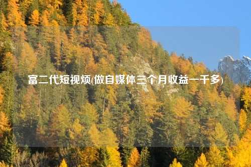 富二代短视烦(做自媒体三个月收益一千多)