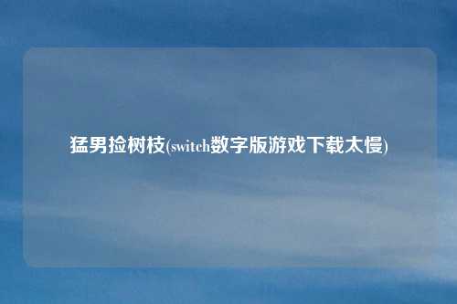 猛男捡树枝(switch数字版游戏下载太慢)