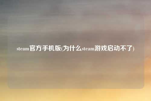 steam官方手机版(为什么steam游戏启动不了)