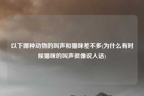 以下哪种动物的叫声和猫咪差不多(为什么有时候猫咪的叫声很像说人话)