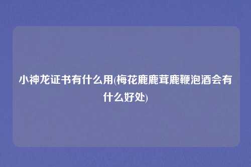 小神龙证书有什么用(梅花鹿鹿茸鹿鞭泡酒会有什么好处)