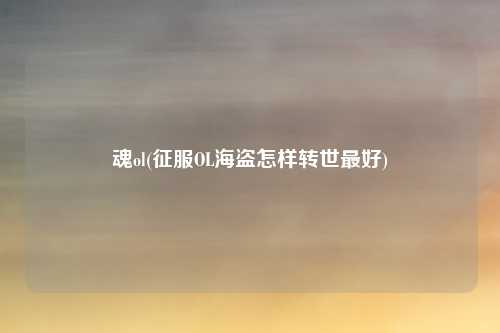 魂ol(征服OL海盗怎样转世最好)
