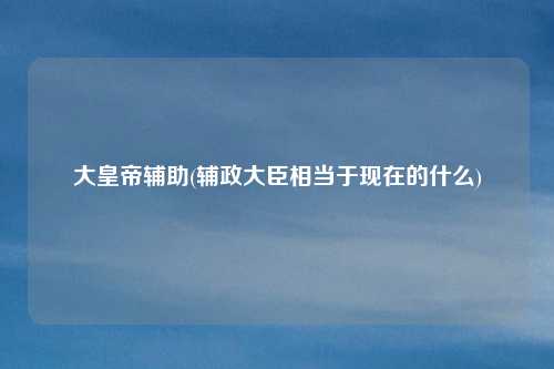 大皇帝辅助(辅政大臣相当于现在的什么)