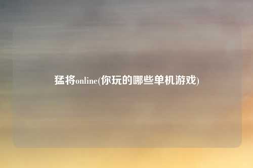 猛将online(你玩的哪些单机游戏)