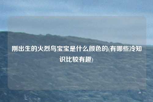 刚出生的火烈鸟宝宝是什么颜色的(有哪些冷知识比较有趣)