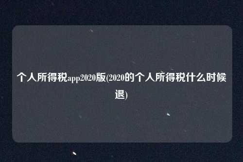 个人所得税app2020版(2020的个人所得税什么时候退)
