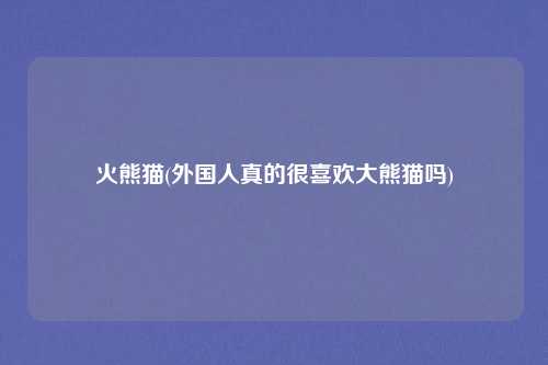 火熊猫(外国人真的很喜欢大熊猫吗)