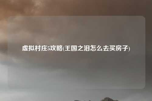 虚拟村庄5攻略(王国之泪怎么去买房子)