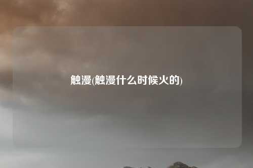 触漫(触漫什么时候火的)