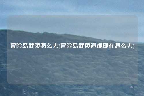 冒险岛武陵怎么去(冒险岛武陵道观现在怎么去)