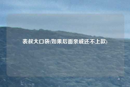 表叔大口袋(如果后面亲戚还不上款)