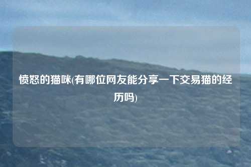愤怒的猫咪(有哪位网友能分享一下交易猫的经历吗)